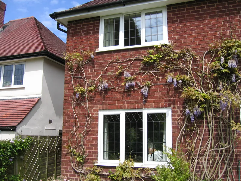 Edwardian Conservatory — Gallery Tulse Hill