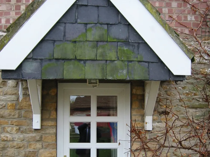 Back Doors — Gallery Tulse Hill